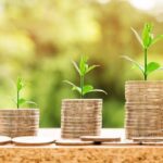 ¿Cómo financiar bonos verdes en Guatemala?